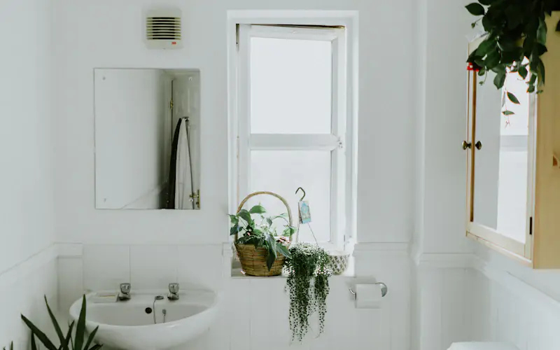Paroi et pare-douche en verre sur mesure